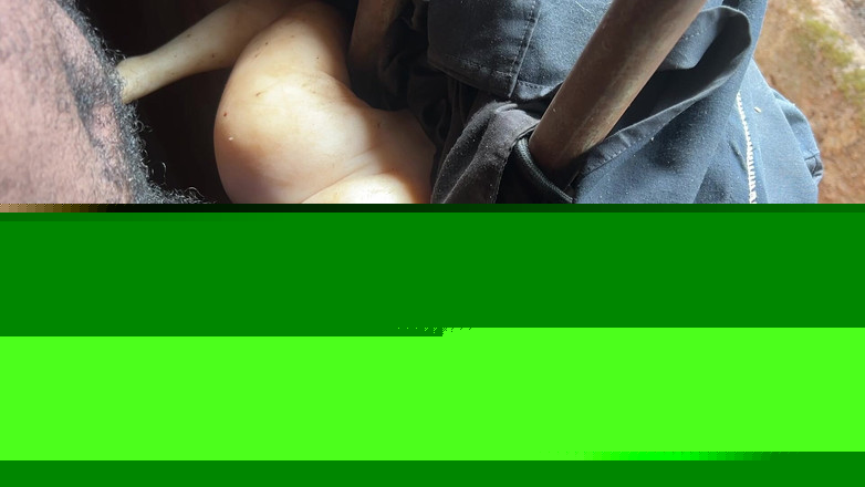 Bangcum8: 勃起したチンコによるセックスの大きな動き 深くアナルを突く