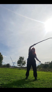 Some Bullwhip Practice in the Park