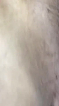 爱我的屁股，让我坐在你的脸上