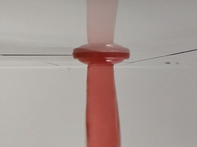 Suck Dildo (Sissy's)