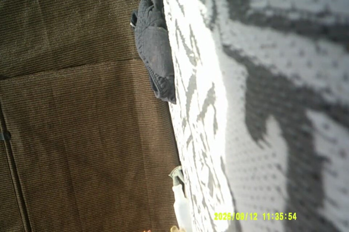 COBRA CRAIG: 9-12-26 Cam1 Cobra Azz Tans with Clerence in His Bum....