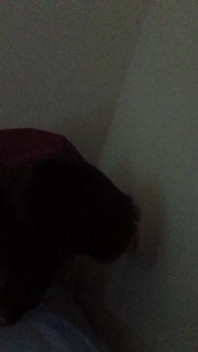누가 나를 따먹고 싶어?