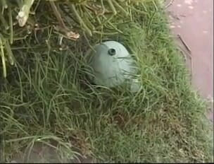 American Idol X: Lesbian pussy licking in the garden