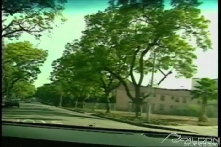 Falcon Studios: Driving Hard
