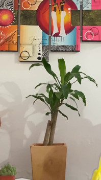 我给我的继妹一个漂亮的肛交作为她的生日