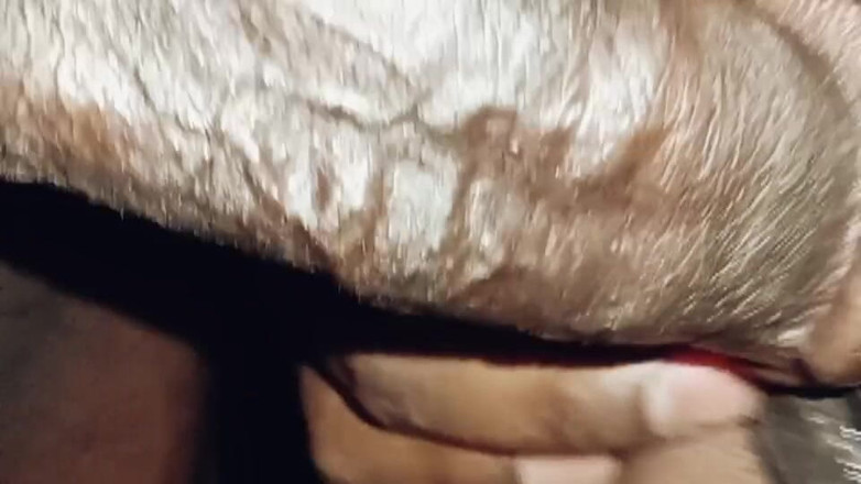 Xhtad studio: デシ・タミルの離婚ミルフの小便