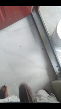  Haydenbbc Video