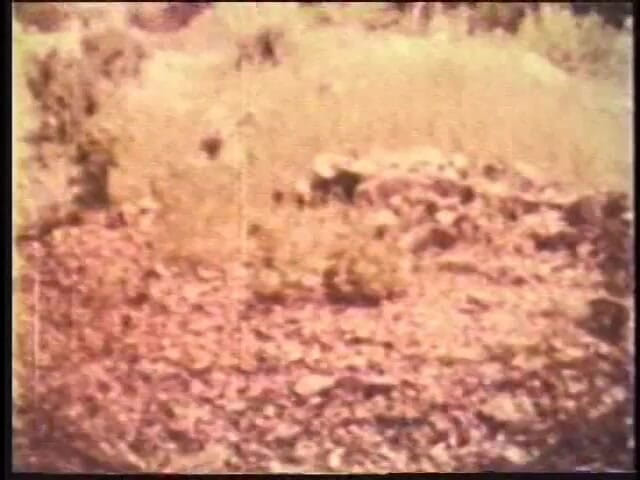 Old Good Porn: Ретро блондинка Красуня Мішель Анджело та її друг люблять ходити голою в сільській місцевості