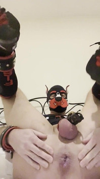 Gaping Gay Puppy Ass After Heavy Fisting Night