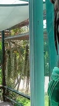 Pertunjukan yang menakjubkan