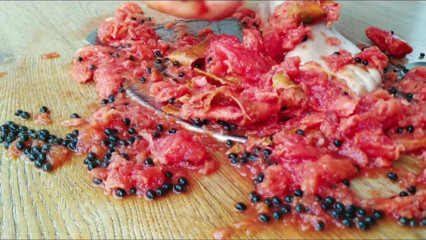 Solo Austria: La fine della vita di Papaya! Distrutta sotto i piedi...