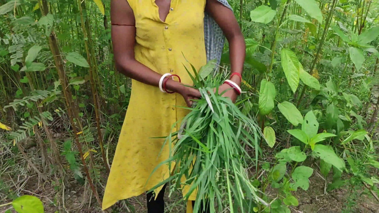 Desigol99: A Young Boy From the Village Fucked My Pussy in...