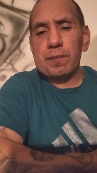 Just Say Hi