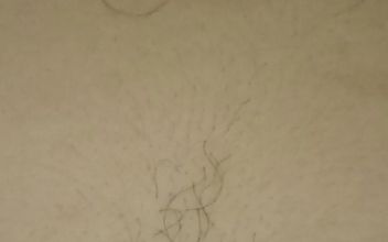 Hairy Pussy and Bellybutton