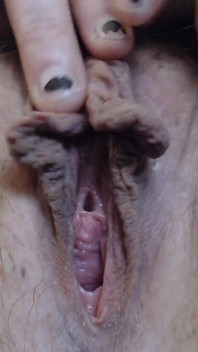 Gorden Daging Sapi Menganga