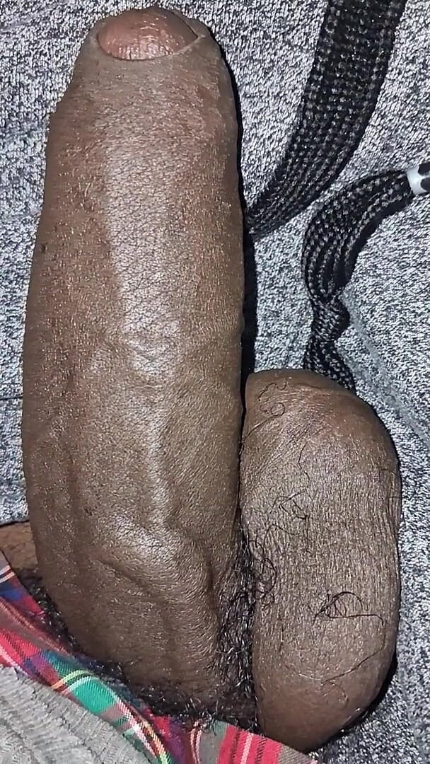 Big Chocolate Meat (Chocolate meat stick)