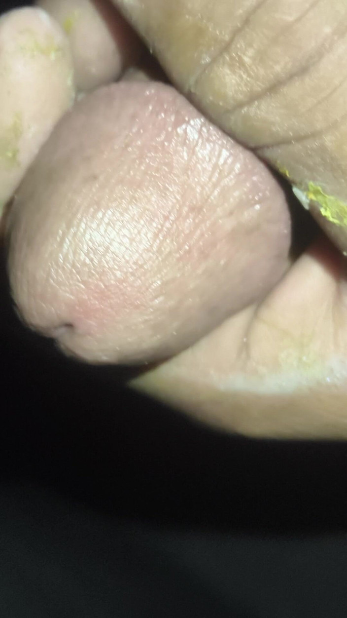 Raja612: 오리지널 인도 기(Desi Ghee)를 보세요.