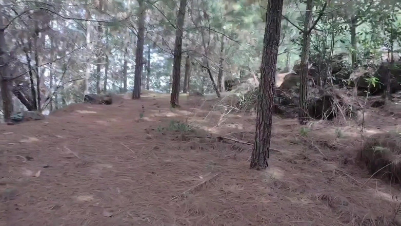 Icyhot707: Plavba v lese