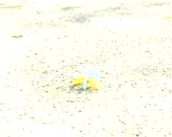 Deutsche Madchen: Busty German Woman Showing Her Moves Outdoors