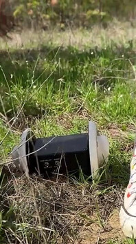 Asmr Day in the Forest with Me