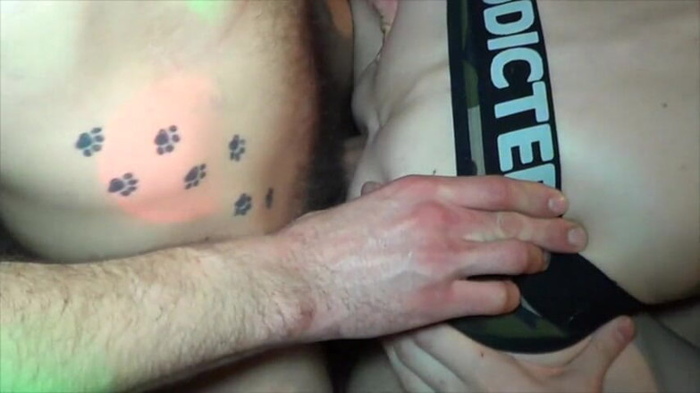 Gaybareback: Em pêlo mostrado pornô ao vivo