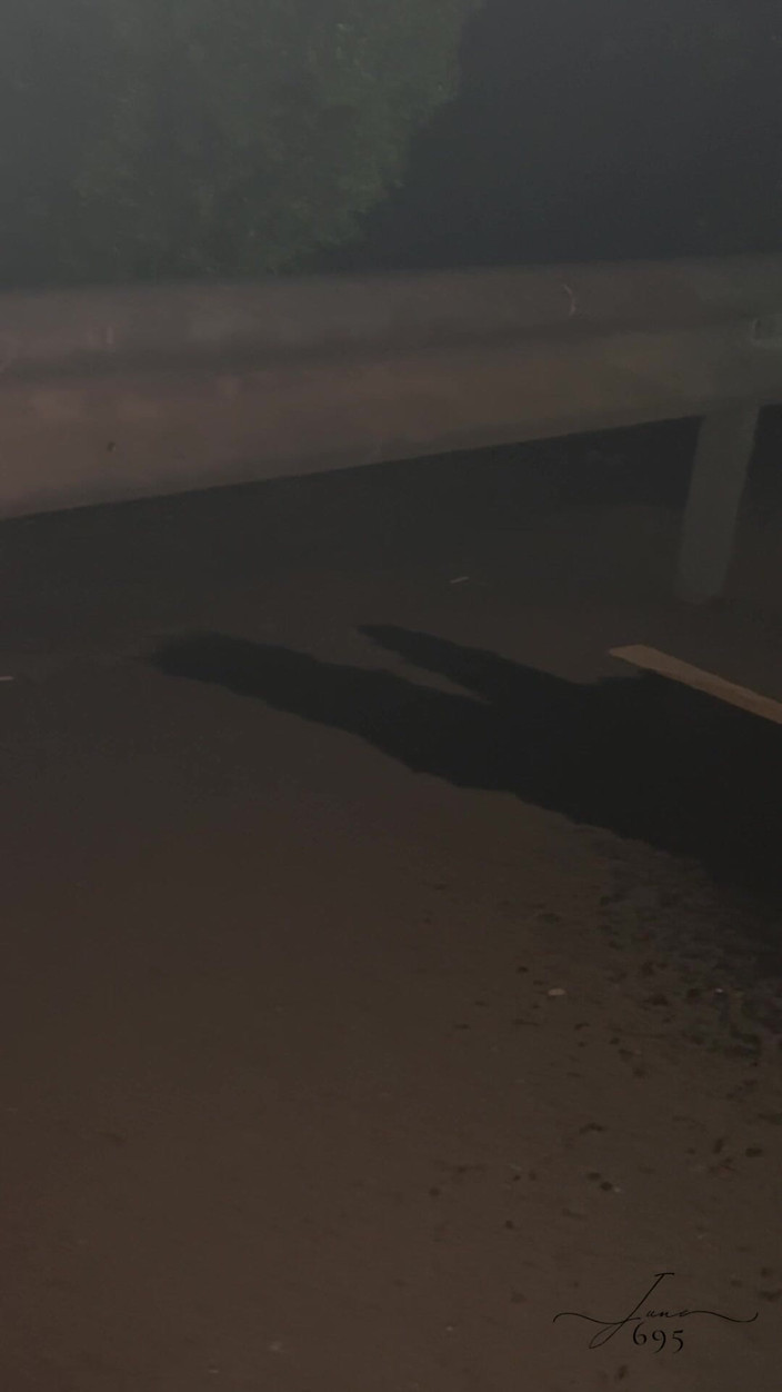 June695: Zlatá sprcha v ulici