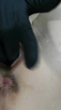 My 7 Best Seller Squirting Video