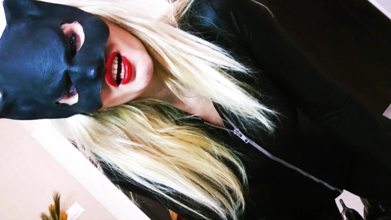 Goddess Celine: BATMAN RETURNS