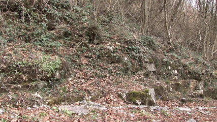 Milf in Love: Crazy slut suck cock in the wood