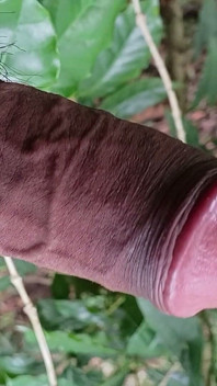 Me Excité Viendo Porno