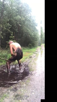 Horny in the Mud Puddle