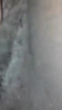 흑인 대물 자지에게 신음하고 신음하는 슈퍼 발정난 흑인 대물 자지