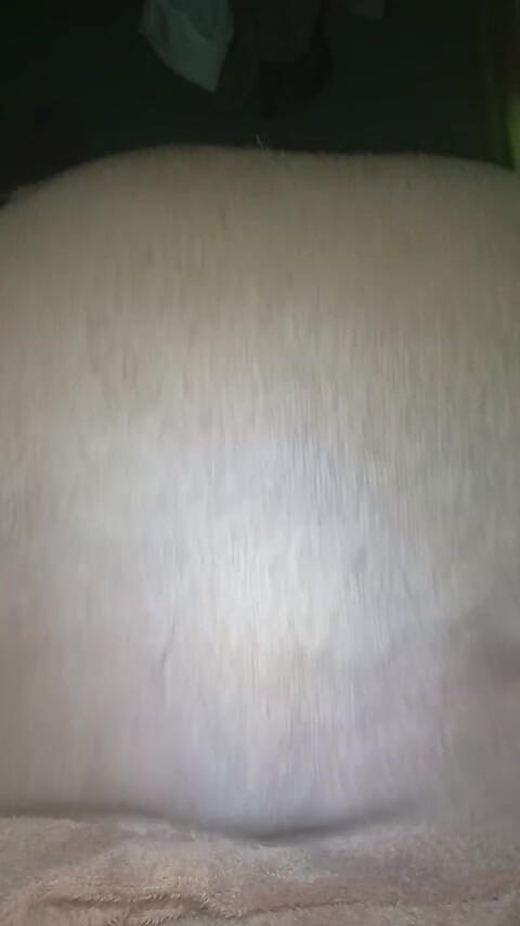 Africatrans: Збуджені Пари Tgirl Хардкорно Трахаються.