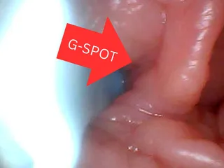 Eerste keer: een endoscoop onthult de G-spot van dichtbij - zonder montage!