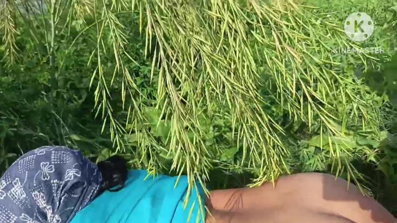 Savita5343: J’ai baisé ma belle-sœur en levrette dans un champ de...