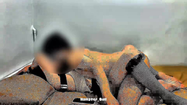 Hamster_Ball: En son 2026! Arap patron ve Malezyalı hizmetçinin video skandalı