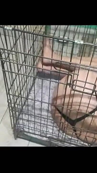 Showing a Slave