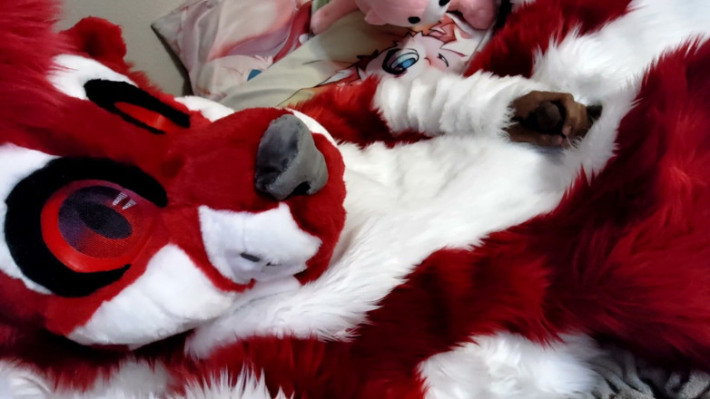 PawgrammerSocks: Jerking off and Showing Footpaws in Full-body Fursuit
