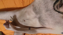 The spice of SinSpice: Jasper Spice: Tôn thờ con cu của tôi và cái lỗ khít...