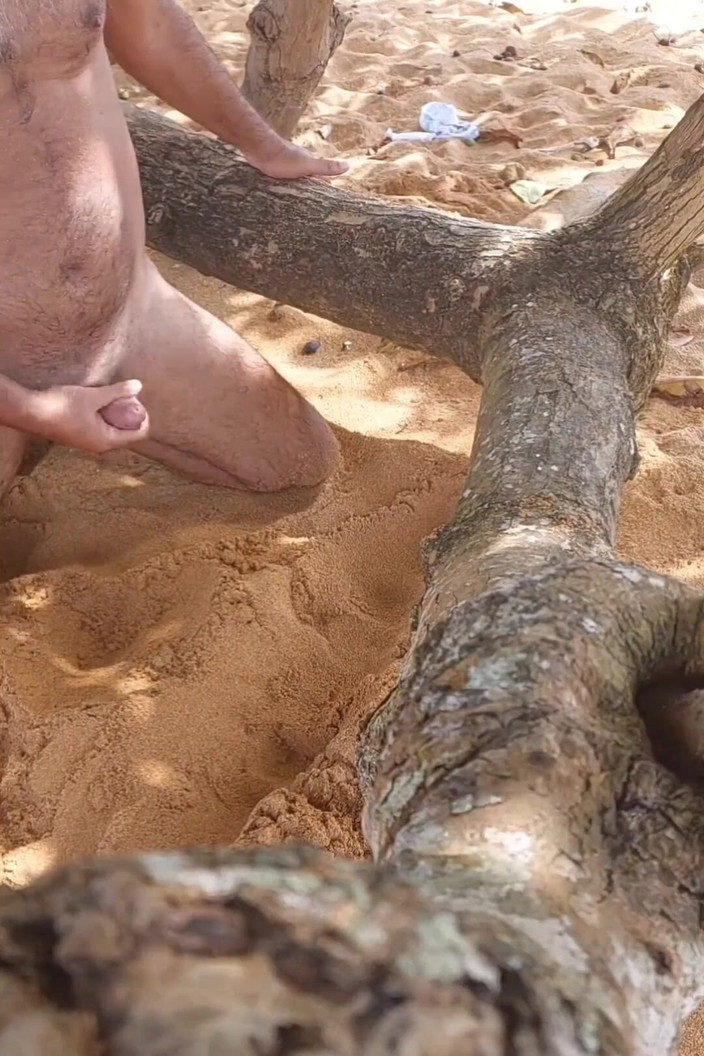 Ladysilvas: Ladysilva sahilde çıplakken bronzlaşmış ve ateşli götünü gösteriyor ve güzel bir...