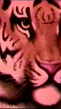 Una aventura de sexo transgénero vintage
