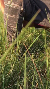 Peeing in the Grass in a Meadow