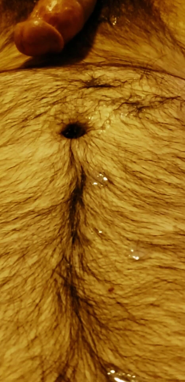 LilAndyWoodDoAnything: Solo Male Cumshot on Hairy Belly