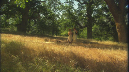 Girl on Girl: Erotic lesbians romance passionately in the wild