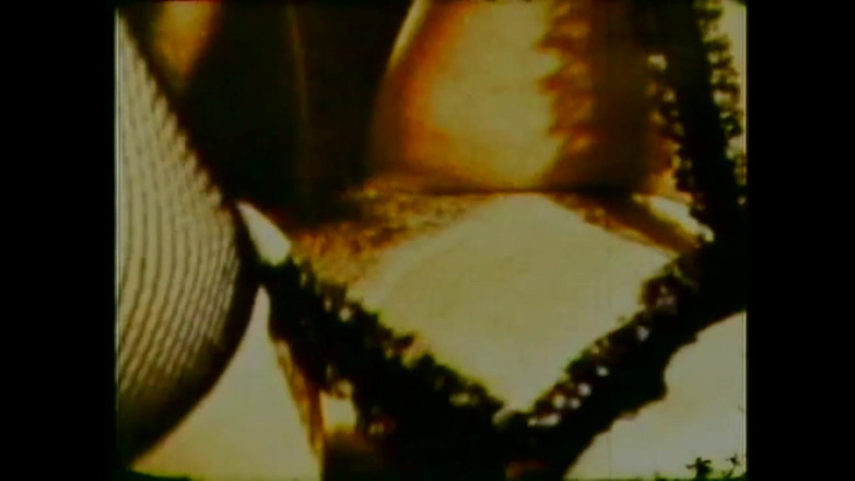 Vintage Usa: Tout Commence Par Le Cul