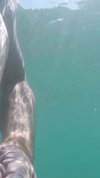 海でのオナニー