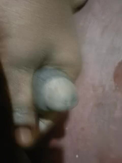 LegalVector8: Melancap