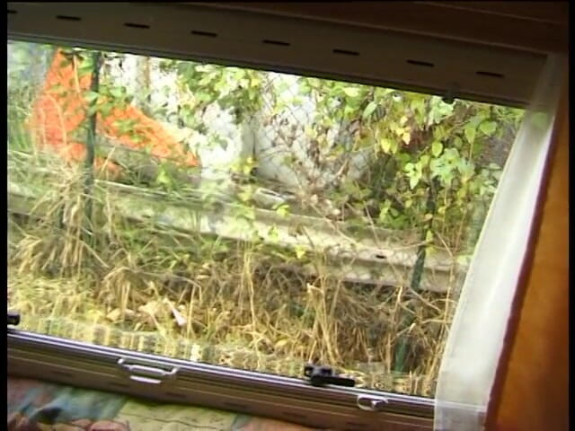 Lucky Cooch: Brunette sluts sharing dick in a van