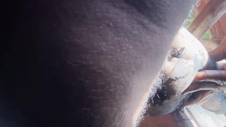 Bangcum8: Fucking Sex Toys