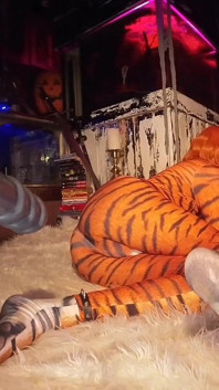 Awek punggung vs dildo dubur besar cosplay tigra pt 1